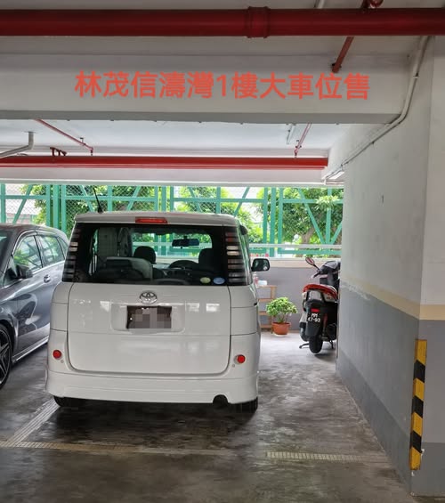林茂信濤灣1樓大車位，可多泊電單車