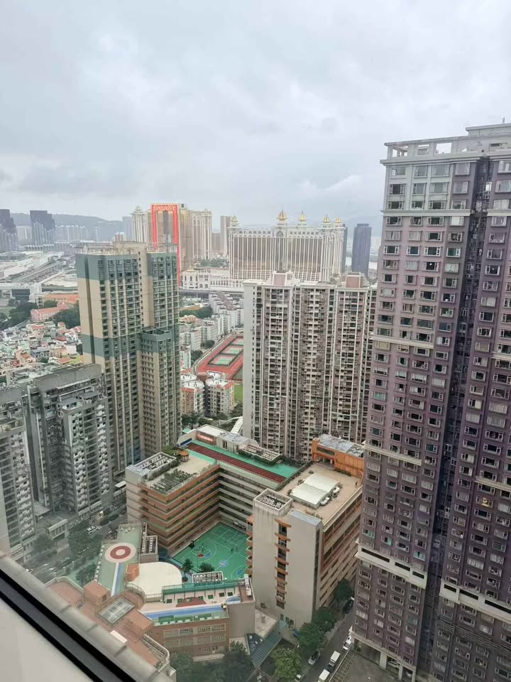 濠泊高層