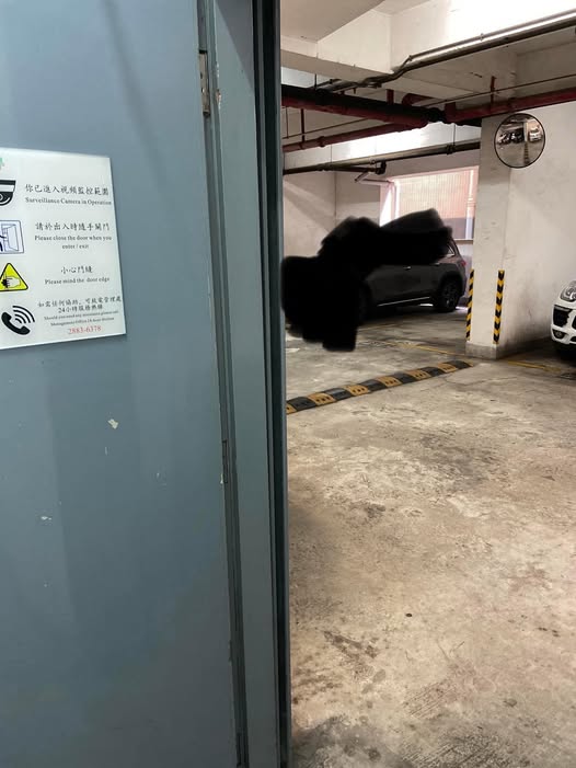 濠庭都會車位近5座M層